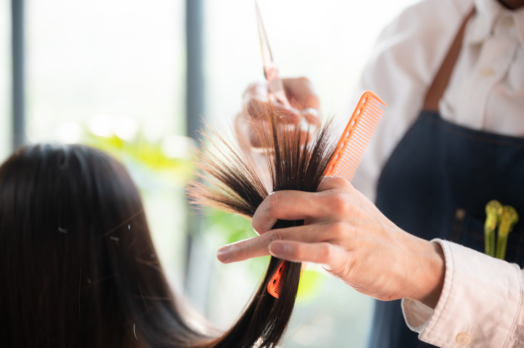 Professional haircut in progress